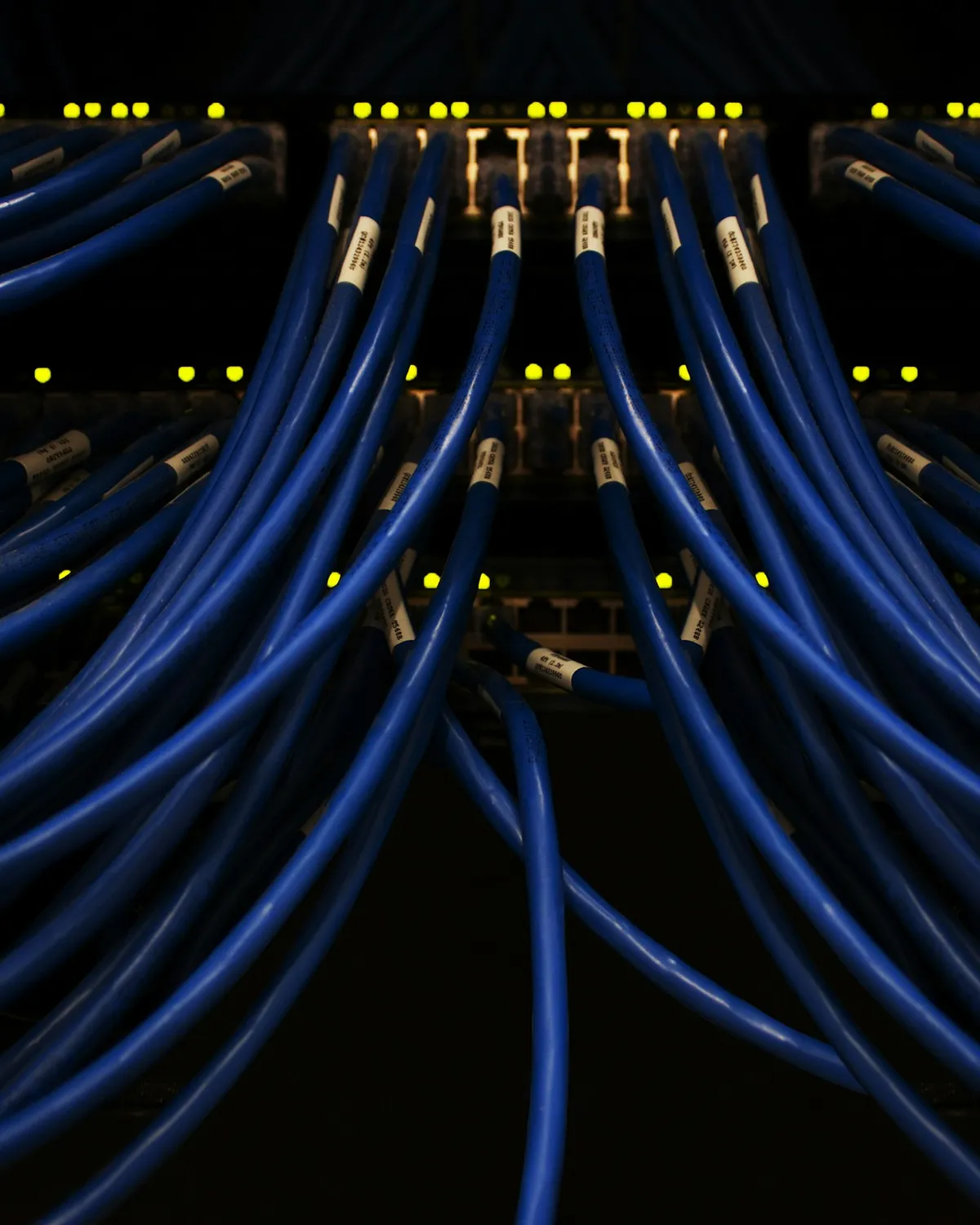 Bundles of blue network cables plugged into a switch panel with small amber status lights